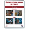 DVD: Enciclopedia mundial del caballo. El cólico