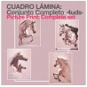Cuadro lámina caballos: conjunto completo (4uds)