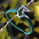 Pulsera caballo SHETAN