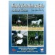DVD: Arthur Kottas. Ejercicios para pruebas básicas y medias