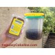 Fly-Gen cebo trampa atrapamoscas