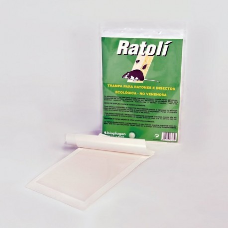 RATOLÍ trampa encolada