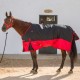 Manta impermeable exterior para caballo